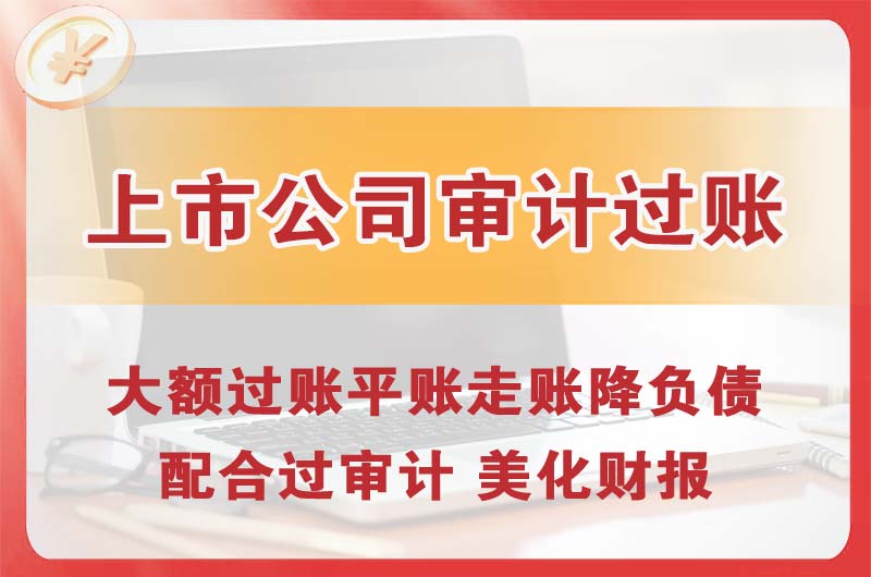 武安上市公司审计过账